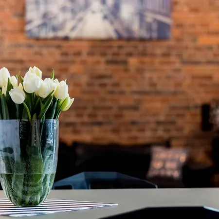 Livingroom 4a Self Check-in 24h * Kattowitz