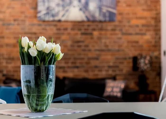 Livingroom 4a Self Check-in 24h * Kattowitz